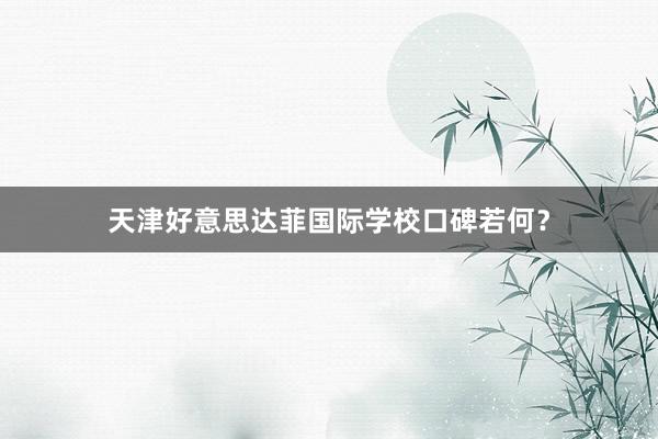 天津好意思达菲国际学校口碑若何？