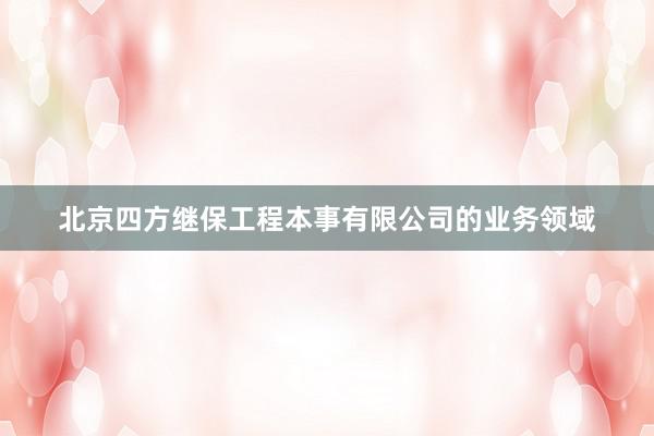 北京四方继保工程本事有限公司的业务领域