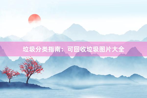 垃圾分类指南：可回收垃圾图片大全