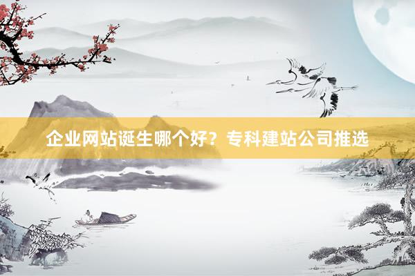 企业网站诞生哪个好？专科建站公司推选